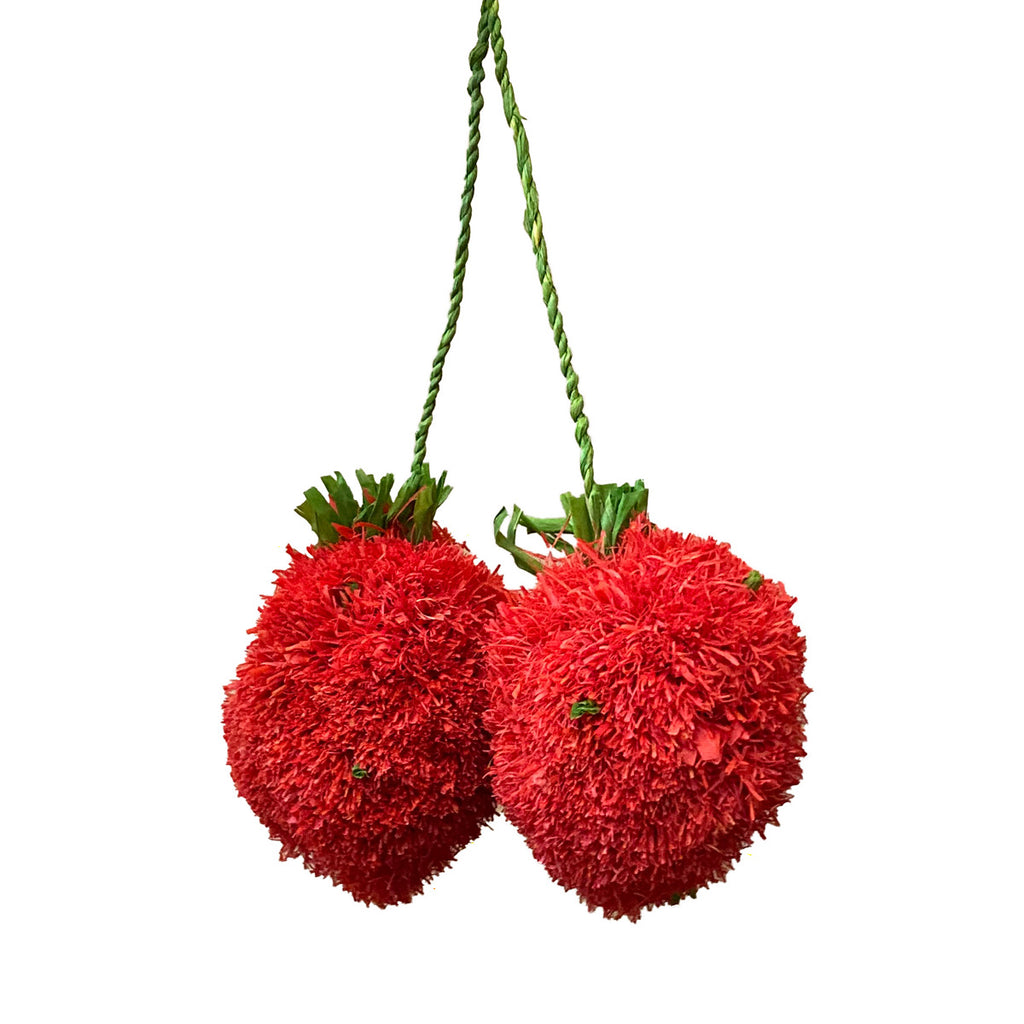 A pair of strawberry pom poms on white background
