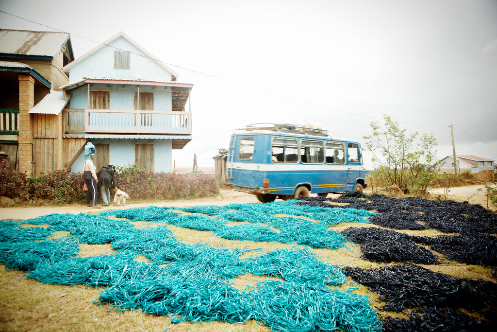 Dyed raffia drying while a blue bus drives by