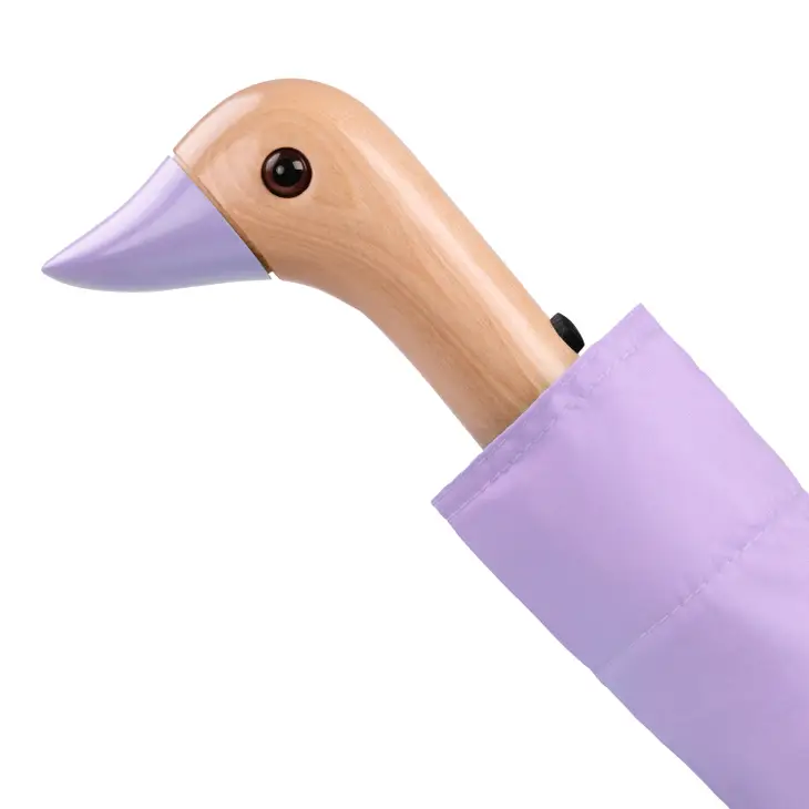 Cropped image of Lavender umbrella on white