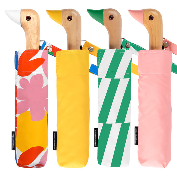 Group of four umbrellas on white background